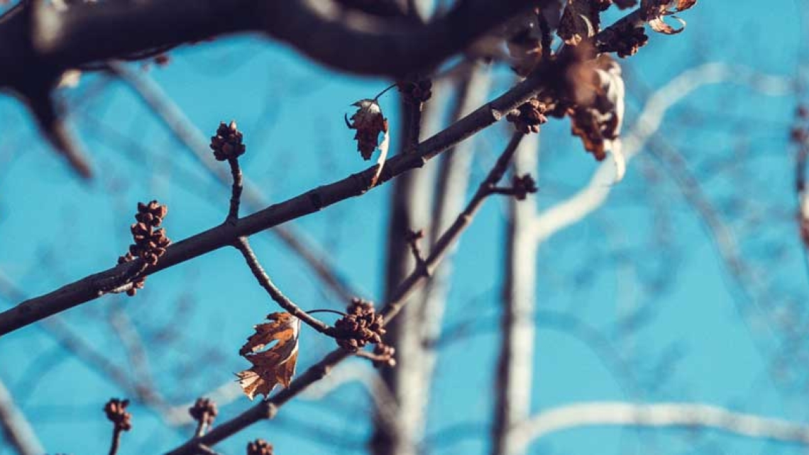 Who Actually Clicks on Banner Ads?